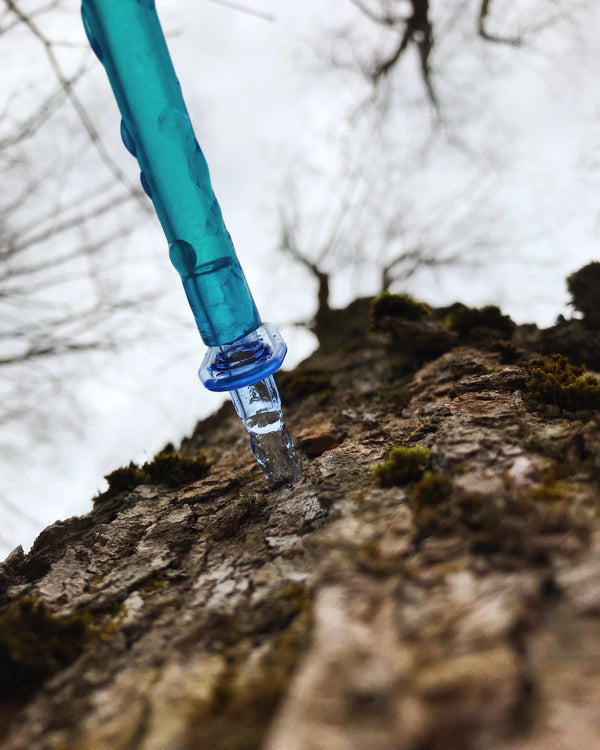 Début saison 2024 - La ferme des cent acres